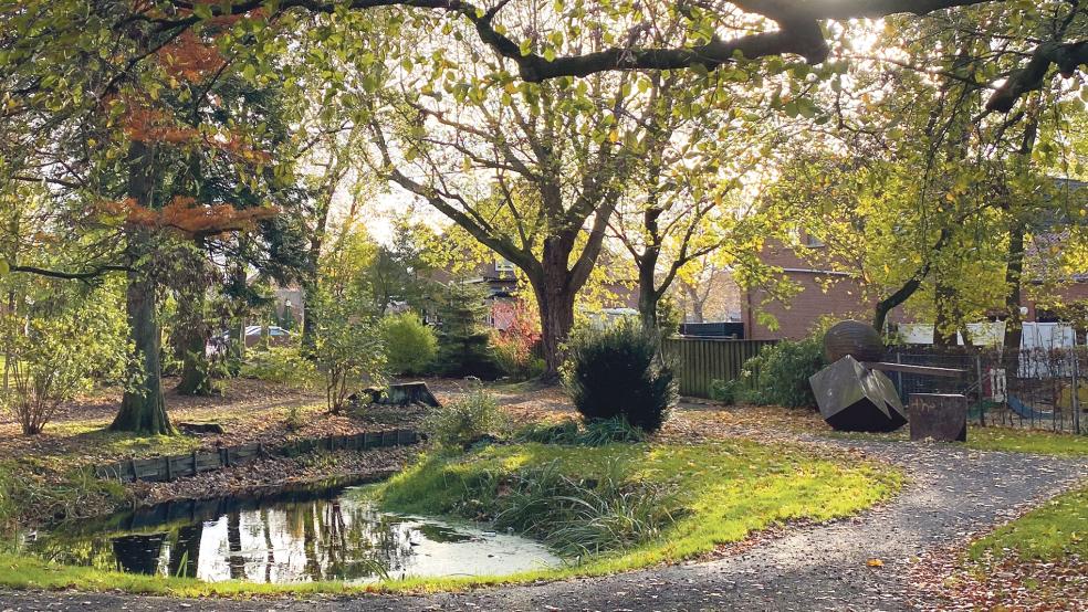  © Archivfoto: Hanken