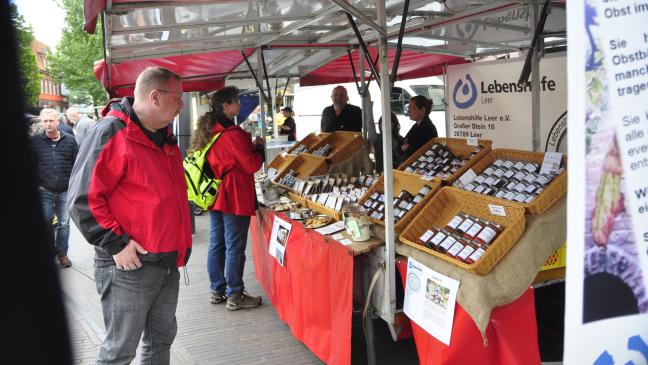 Lekkermarkt und offene Läden
