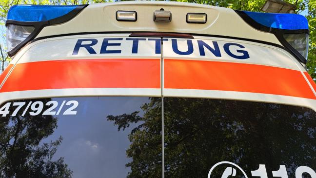 Autos stoßen auf B 436 mit Kühen zusammen