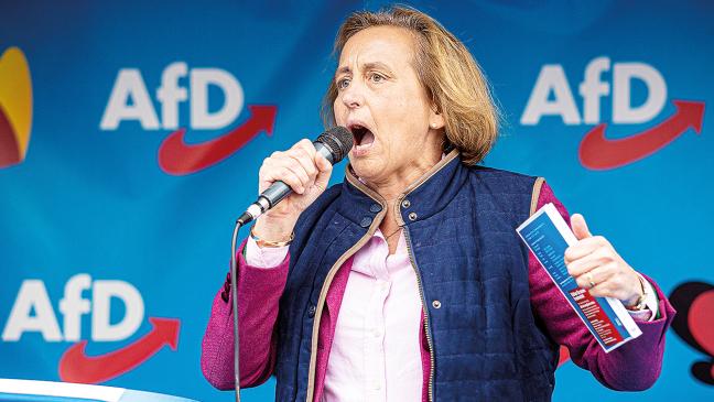 Geheimplan der AfD geht nicht auf