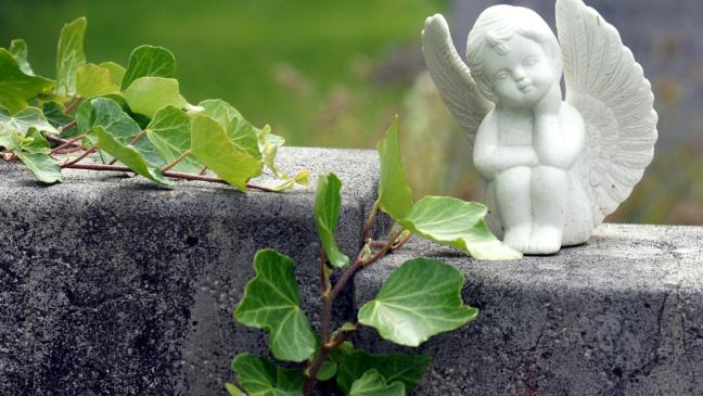 Unbekannte stellen Grabschmuck um