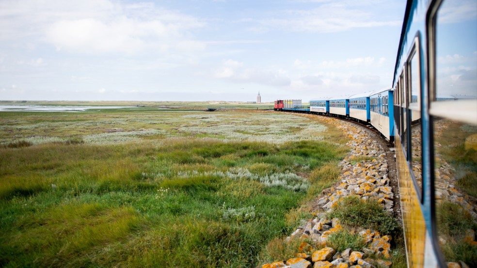 Die Inselbahn fährt über die Salzwiesen auf Wangerooge und bringt die Urlauber von der Fähre zum Bahnhof. © Dittrich (dpa)