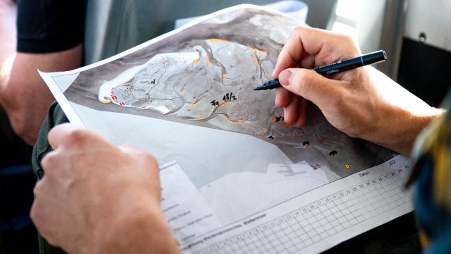 Erste Flüge für Seehund-Zählungen gestartet