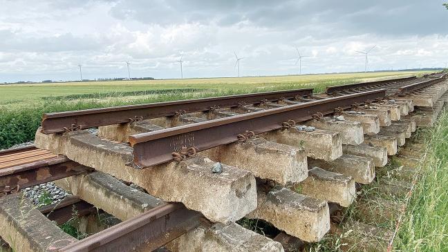 »Wunderline bietet großes Potenzial«