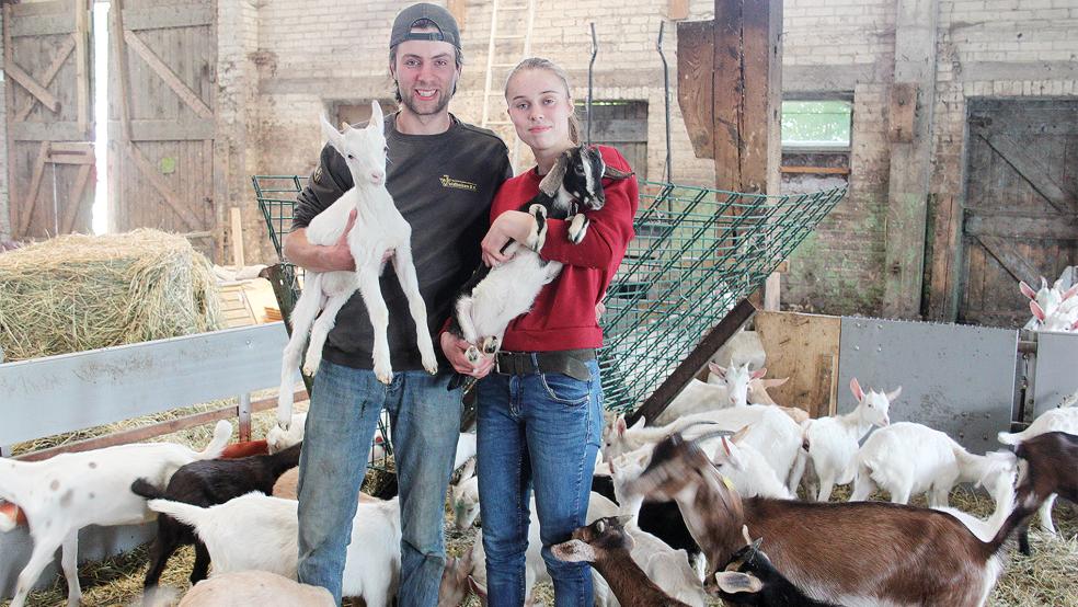 Leon de Kloet und Melissa Brouwer betreiben einen Hof mit mehr als 500 Ziegen. Ihre Produkte würden sie gerne auch auf einem Wochenmarkt in Weener verkaufen.  © Foto: Busemann