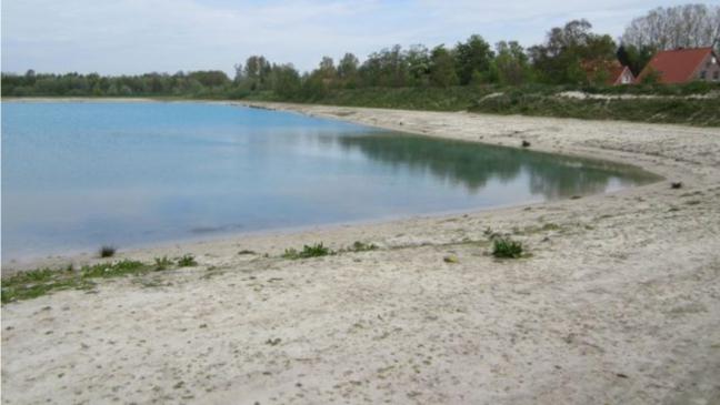 Zerkarien-Befall im Badesee