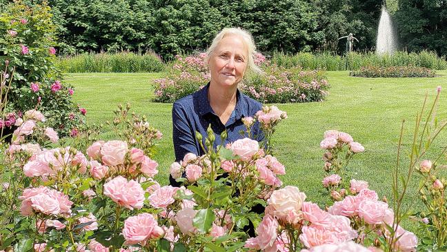 Grüner Markt lockt ins Rosarium