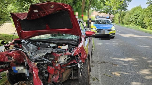 Auto fährt gegen Baum - 75-Jähriger verletzt