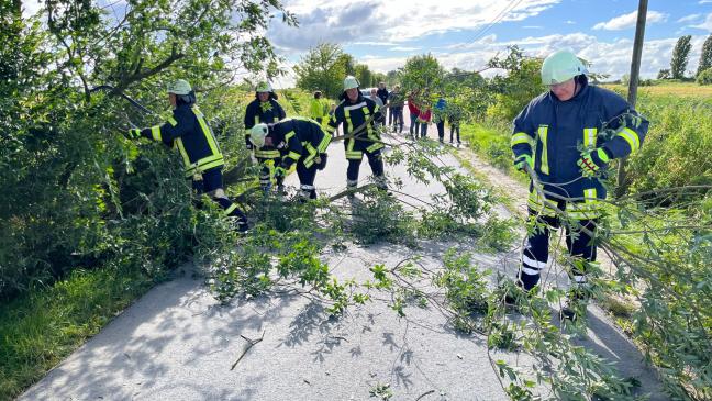 Windböen halten Feuerwehrleute in Atem
