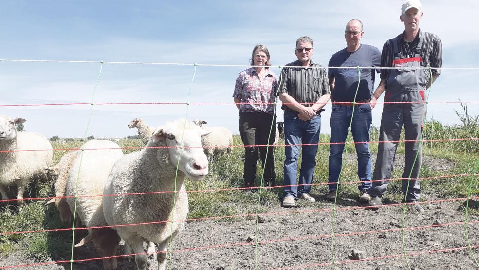 An der Schafweide der Familie Foget steht jetzt ein wolfssicherer Zaun. Die RZ sprach gestern in Pogum mit (von links): Gerda und Hero Friedrich Foget, Reinhard Schüür und Frerich Steen.  © Foto: Berents