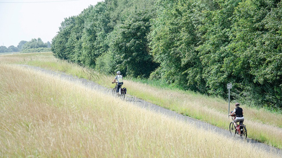 Die Dollard Route nimmt wieder Fahrt auf (im Bild Radwanderer am Emsdeich in Weener).  © Foto: Hanken