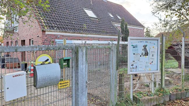 Tierschutz vor Tag der Entscheidung