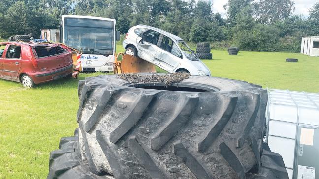 Paintball und Gellyball: Im September geht es los