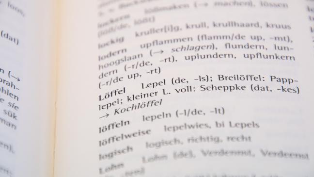 Platt-Wörterbuch nun Standardwerk