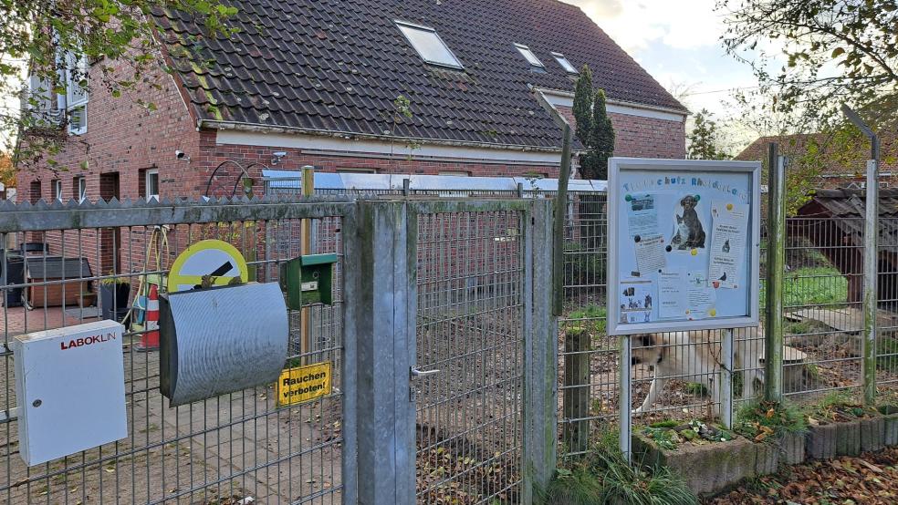 Die Zukunft des Tierheims in Stapelmoor bleibt unklar. © Szyska/Archiv