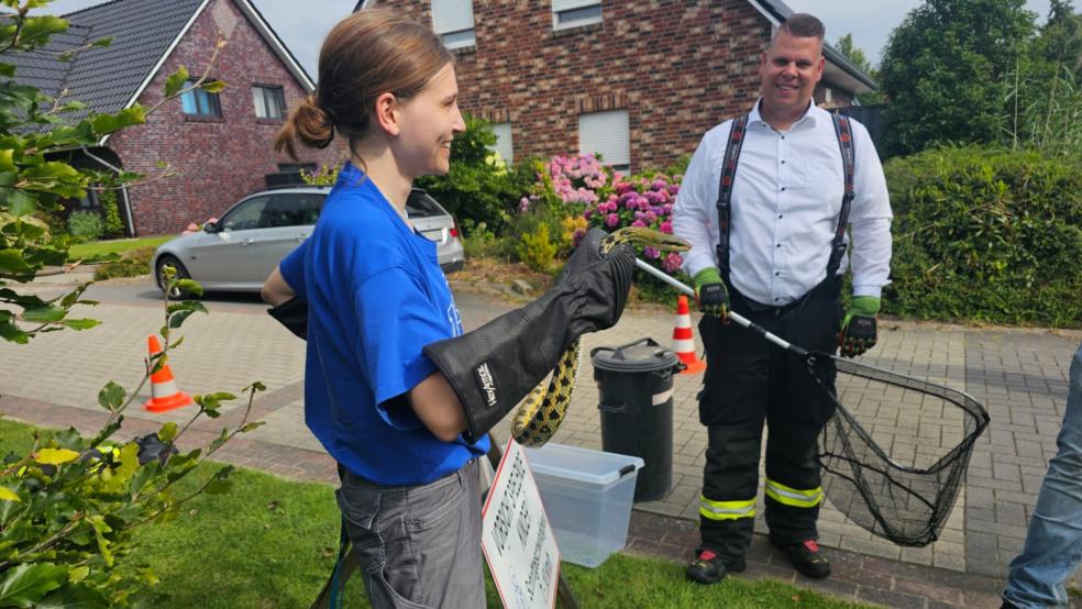 Die Schlange, das Reptil ist ungiftig, ist gefangen. © Feuerwehr Norden