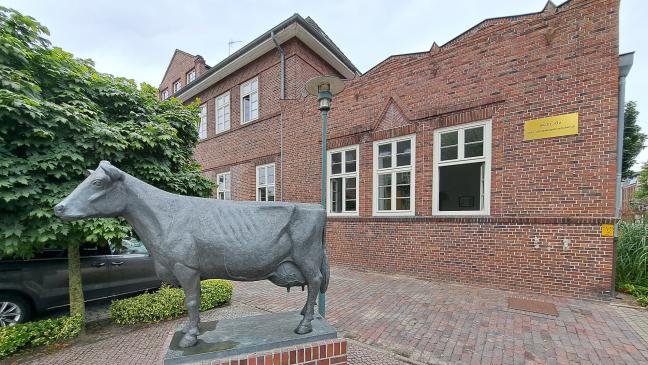 Blauzungen-Virus breitet sich aus