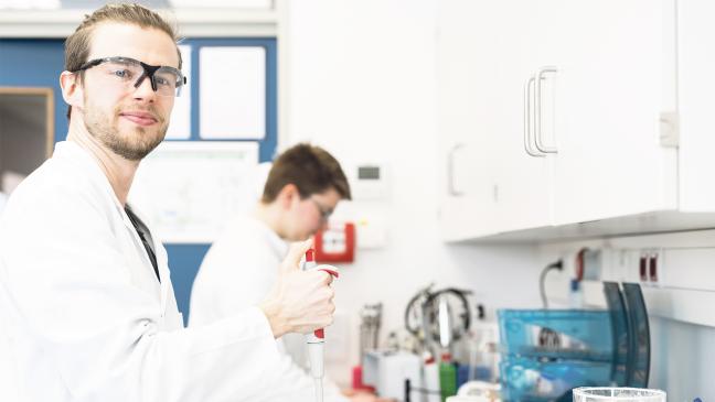 Nachhaltigkeit prägt neue Studienangebote