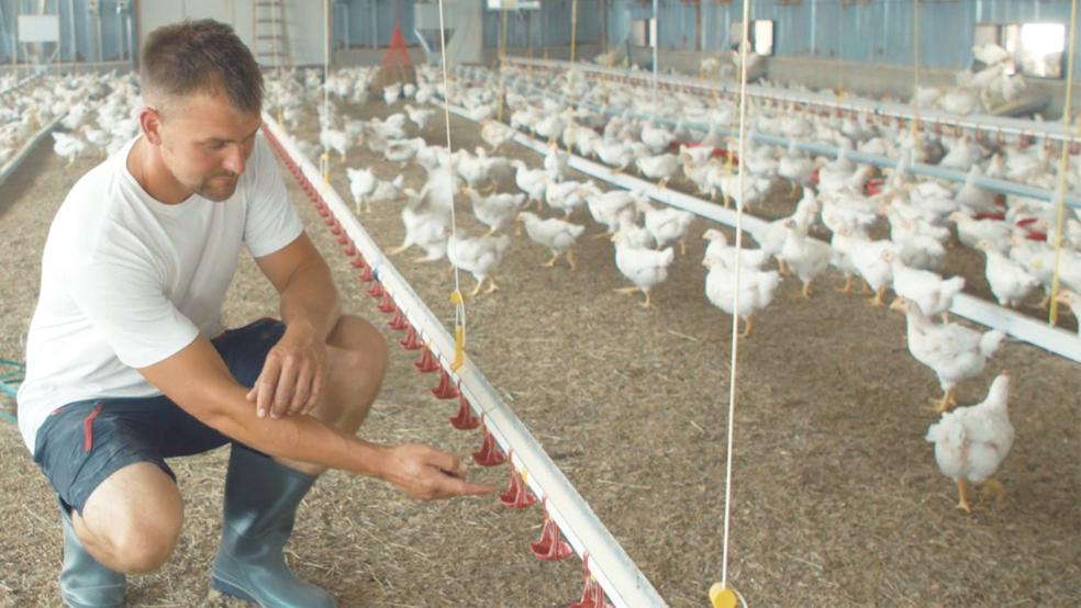 Dieses Foto stellte die Marketing-Abteilung der Plukon GmbH aus Visbek im Landkreis Vechta der RZ zur Verfügung. Die Aufnahme zeigt den Landwirt Christoph Schulz, der nach dem Unternehmenskonzept »FairMast« einen Stall für Masthühner betreibt. Mit einem Werbevideo der Plukon-Gruppe, in dem der Stall von Schulz in Atterwasch im Landkreis Spree-Neiße präsentiert wird, hatte Hauke Menno Koets der Gemeinde Bunde seine Planungen präsentiert.  © Foto: Plukon Food Group Deutschland