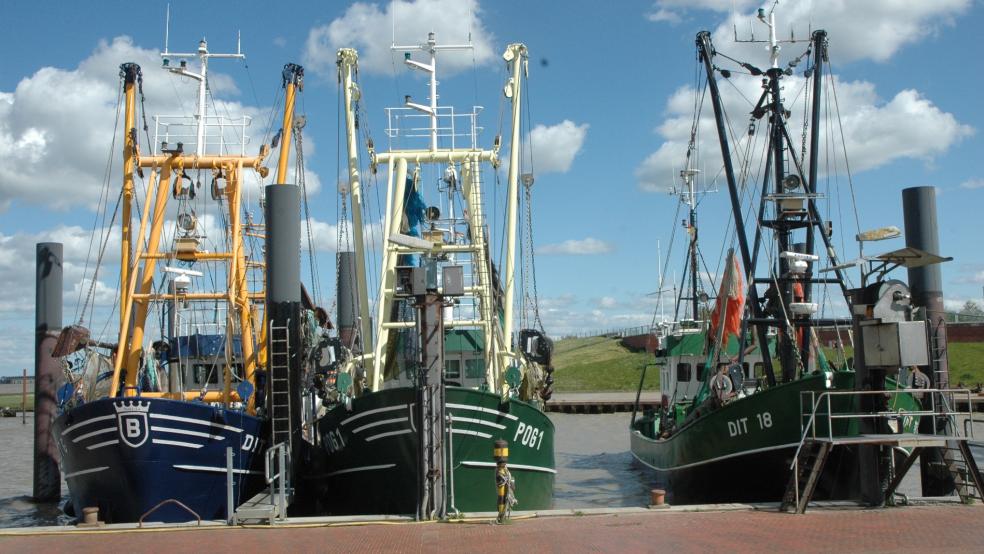 Es geht um mehr als Kutter und Krabbenbrötchen: Wenn die Küstenfischer an der deutschen Nordseeküste - wie hier in Ditzum - verschwinden sollten, hätte das weitreichende Folgen auch für den Tourismus und das lokale Gewerbe. © Szyska