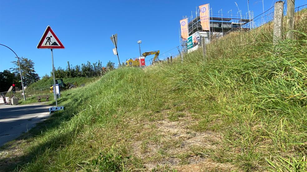 Die alte Fußgänger- und Radfahrrampe an der Friesenbrücke ist mittlerweile völlig überwuchert.  © Foto: Hanken