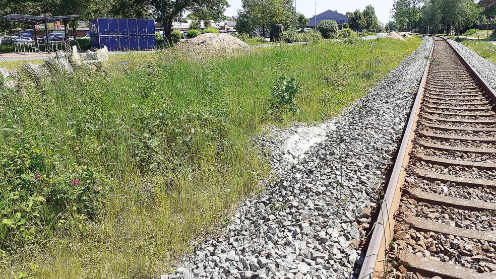 Noch wächst an dieser Stelle hohes Gras. Bis in Bunde am Bahnhaltepunkt gearbeitet wird, wird es eine Weile dauern.  © Foto: Berents