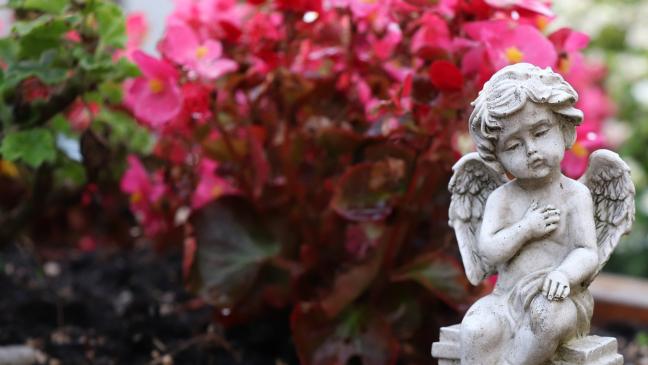 Blumen von Grab entwendet