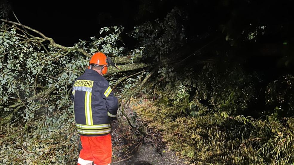 Die Feuerwehr Holthusen befreite die Straßen von Bäumen. © Feuerwehr Holthusen