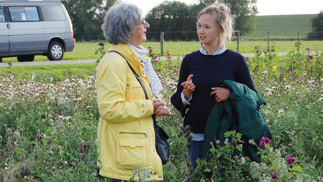 Blühstreifen - Lebensraum für Insekten und Tiere