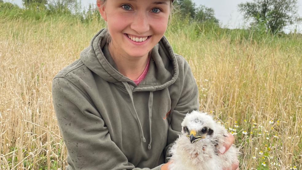 Wiebke Hoting-Heikens mit einer jungen Wiesenweihe. © Landwirtschaftlicher Naturverein
