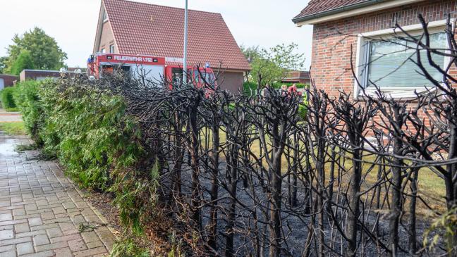 Beim Abflammen von Unkraut stand die Hecke in Brand