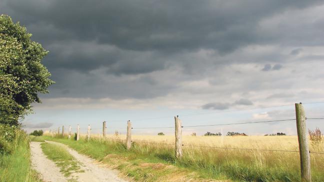 Auffällig viel Starkregen in diesem Sommer