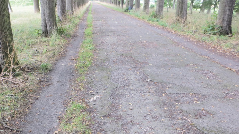 Die Ertüchtigung der Evenburgallee mit Mitteln aus der LEADER Region »Ostfriesland an der Ems« steht kurz bevor.  © Foto: Landkreis Leer