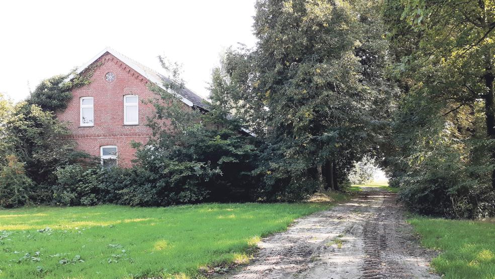 An Stelle des ehemaligen Hofes Elias soll in Bunderhee in unmittelbarer Nähe zum Steinhaus ein Baugebiet mit maximal 15 Baugrundstücken entstehen.  © Foto: Berents