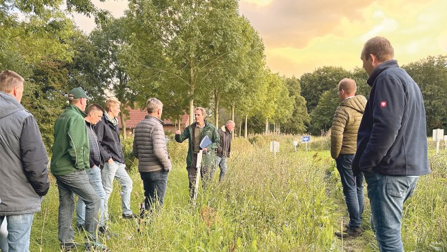 Natur-Projekte: Regenfälle trüben Anblick von Blühstreifen