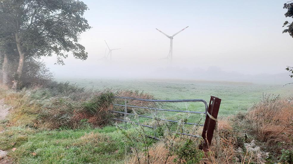 Die Flächenplanung für Windkraftanlagen - hier ein nebeliger Blick aus Bingumgaste auf den Windpark Holtgaste - ist ein Teilbereich des Raum­ordnungsprogramms 2024 für den Landkreis Leer, der Konfliktpotenzial birgt.  © Foto: Szyska