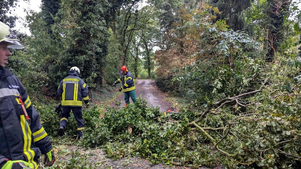 An der Ecke Krummspät/Am Wiesengrund in Großwolde zersägte und beseitigte die Feuerwehr einen Baum, der durch den Sturm auf die Fahrbahn gestürzt war. © Markus Bruns (Feuerwehr Westoverledingen)