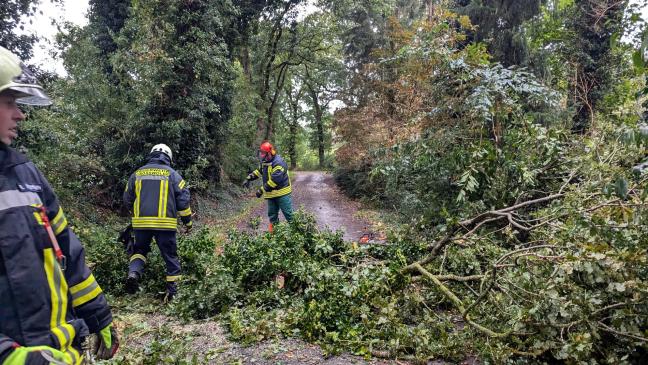 Sturmtief »Constanze« hält Feuerwehren in Atem