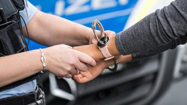 Steuern hinterzogen: Frau an Grenze gefasst
