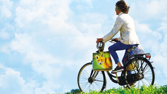 Rheiderländer Radler waren fleißig