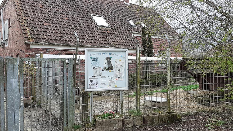 Die Tierheim-Team setzt auch in Zukunft auf ehrenamliche Helfer..  © Archivfoto: Berents