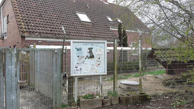 Ehrenamt im Tierheim gestalten