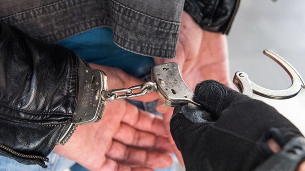 Die Bundespolizei zog den Polen im Rahmen der Grenzkontrollen in Bunderneuland aus dem Verkehr. © Symbolfoto: Bundespolizei