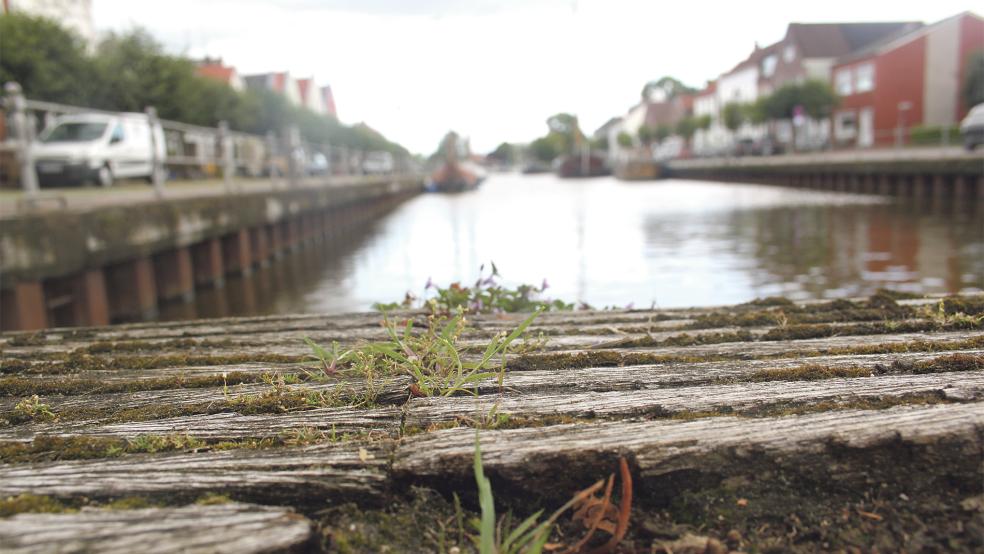 Der Alte Hafen in Weener sowie das Umfeld sollen aufgewertet werden.  © Foto: Busemann