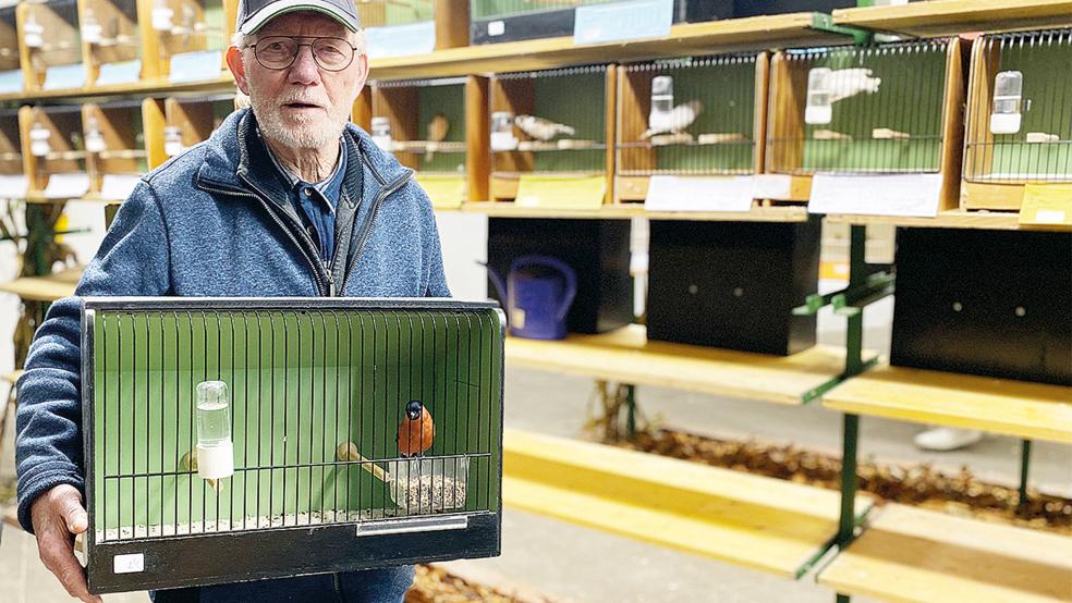 Mit seinen Dompfaffen wurde der 84-jährige Albert Wiegmann Gruppensieger, er ist eines von zwei noch lebenden Gründungsmitgliedern des Vereins.  © Foto: Kuper