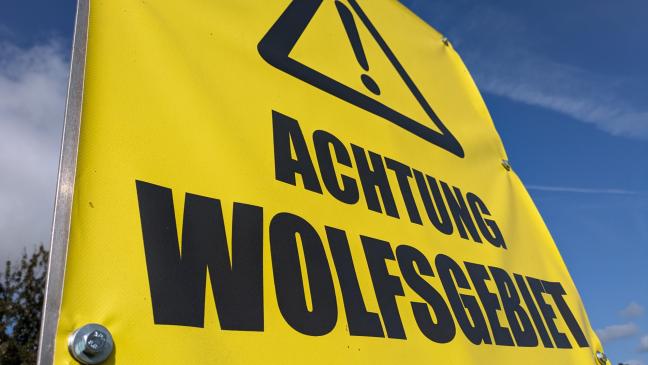 Jemgumer Wolf: Kein Schnellschuss