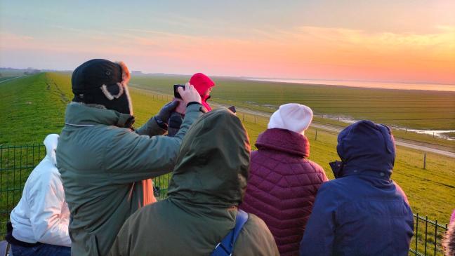 Auf den Spuren der Wildgänse