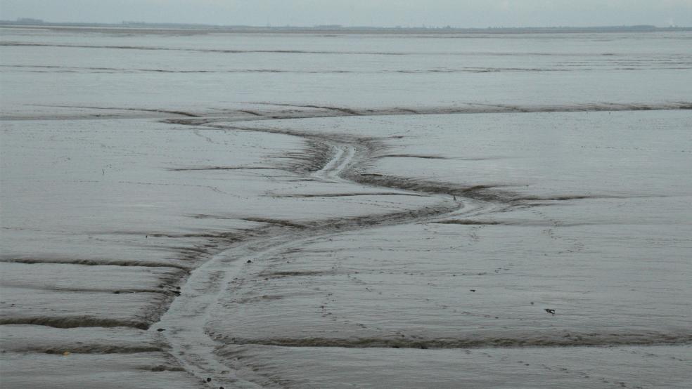 Schlick als Grundstoff für den Deichschutz? Für Projekte dieser Art sollen die Deichachten Gelder vom Land bekommen.  © Foto: Hanken (Archiv)