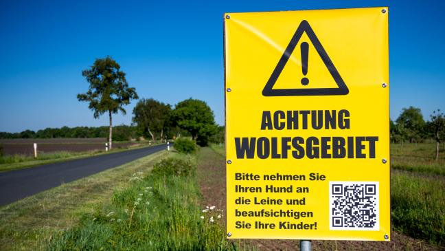 Wolfs-Schuss oder »Schuss vorm Bug«?