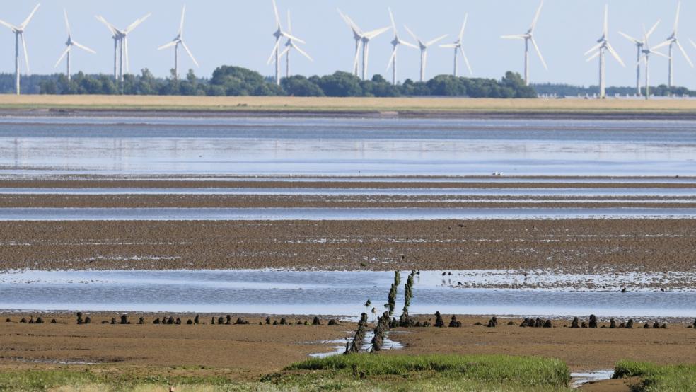 Blick von der Norderneyer Südseite auf das Wattenmeer bis zur Küste am Festland. Jäger und Nationalparkverwaltung gehen davon aus, dass ein auf der Insel gesichteter Wolf einen Weg durch das Watt bei Niedrigwasser nahm.  © Bartels (dpa)